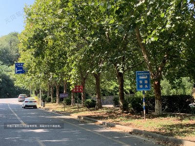 新手上路千万不要跟这四类车，否则后果不堪设想！